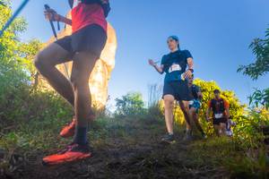 BIB: 
                            <button type="button" onclick="openModal(19313554)" class="btn btn-primary btn-sm float-right btn-popup" data-toggle="modal" data-target=".modal-high-quality">
                        <i class="fas fa-shopping-cart"></i> Add to Cart
                    </button>
                                            <button type="button" onclick="isThisMe(19313554, true)" class="btn btn-success btn-sm float-right btn-popup btn-isme hidden" data-toggle="tooltip" data-placement="bottom" title="นี่คือรูปของคุณใช่ไหม คลิกที่นี่เพื่อเอาเข้าอัลบั้ม">
                        <i class="fas fa-plus"></i> Add to album
                    </button>
                    <button type="button" onclick="isThisMe(19313554, false)" class="btn btn-warning btn-sm float-right btn-popup btn-isnotme hidden">
                        <i class="fas fa-ban"></i> Remove from album
                    </button>